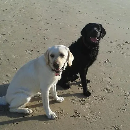 Be Our Guest Sint Maarten