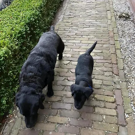 Frühstückspension Be Our Guest 3*