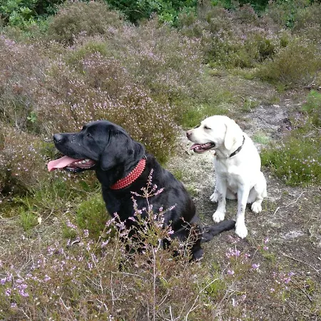 Be Our Guest Bed and Breakfast